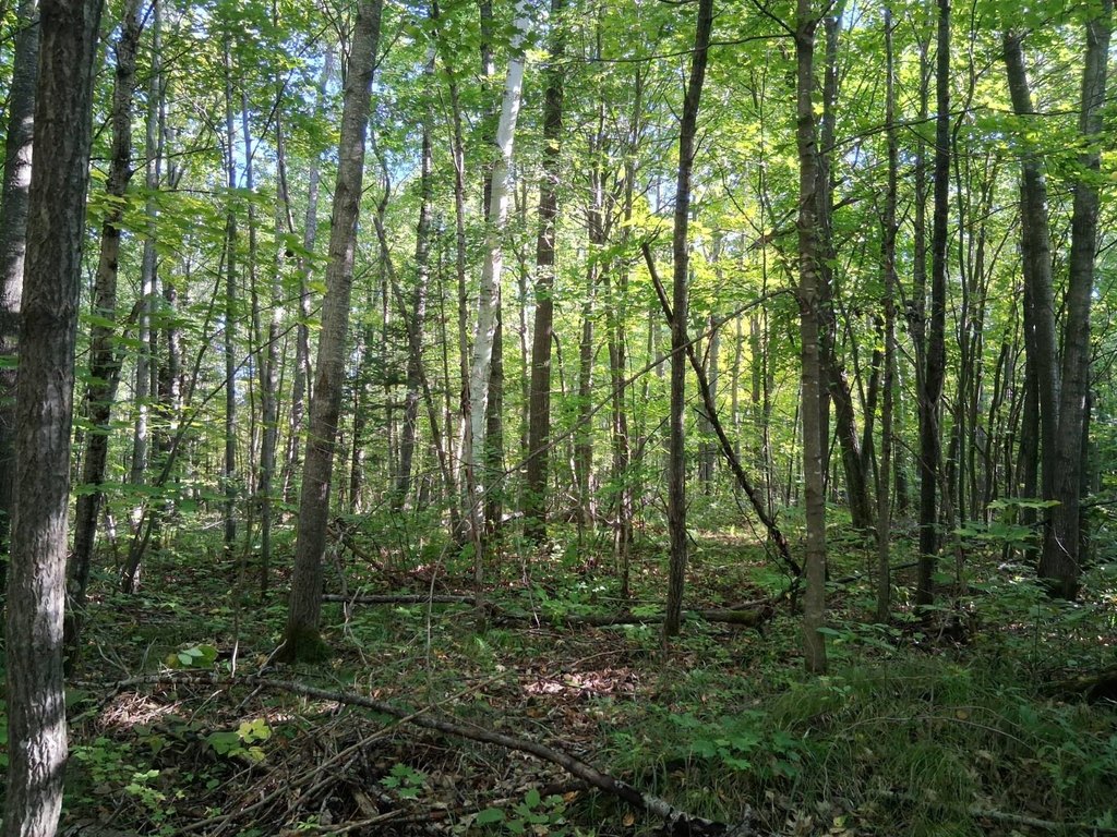 Picture 11