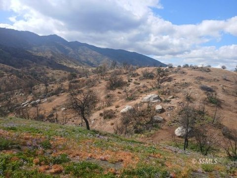 20 Acres Land in Caliente