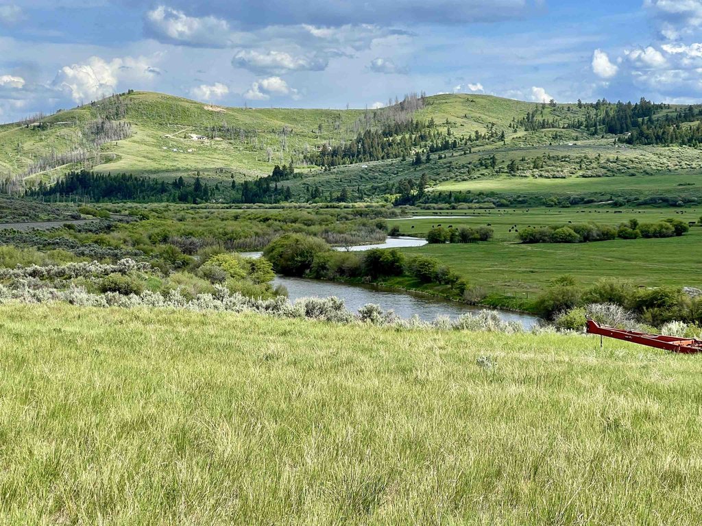 Picture 34