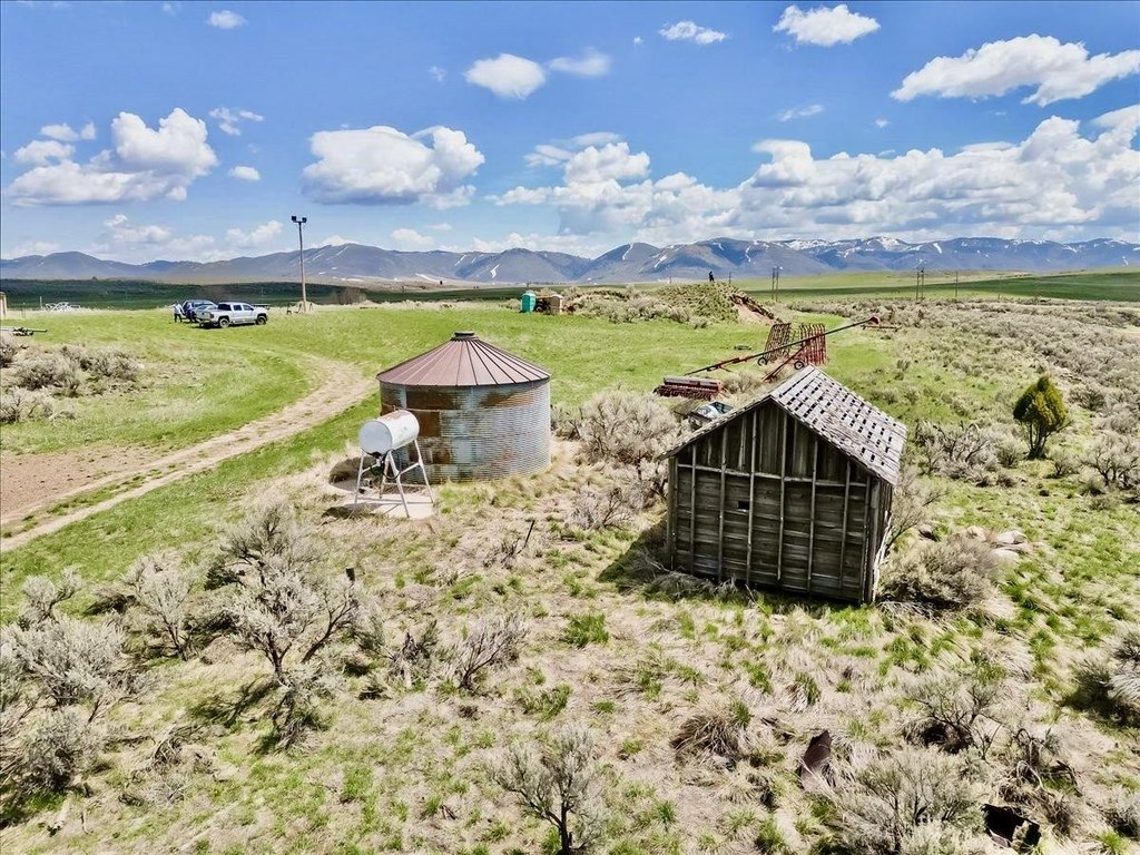 Picture 16