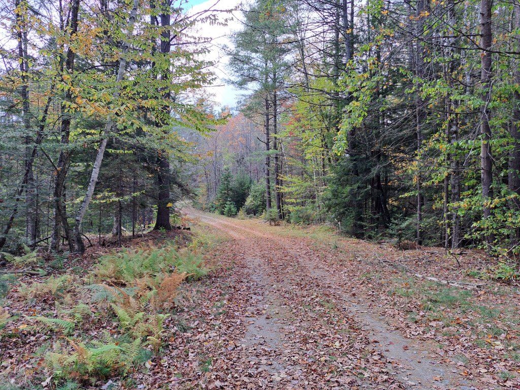 Picture 19