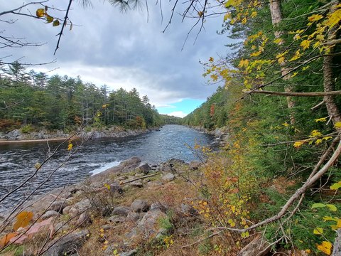 Waterfront Riverfront Hunting Land