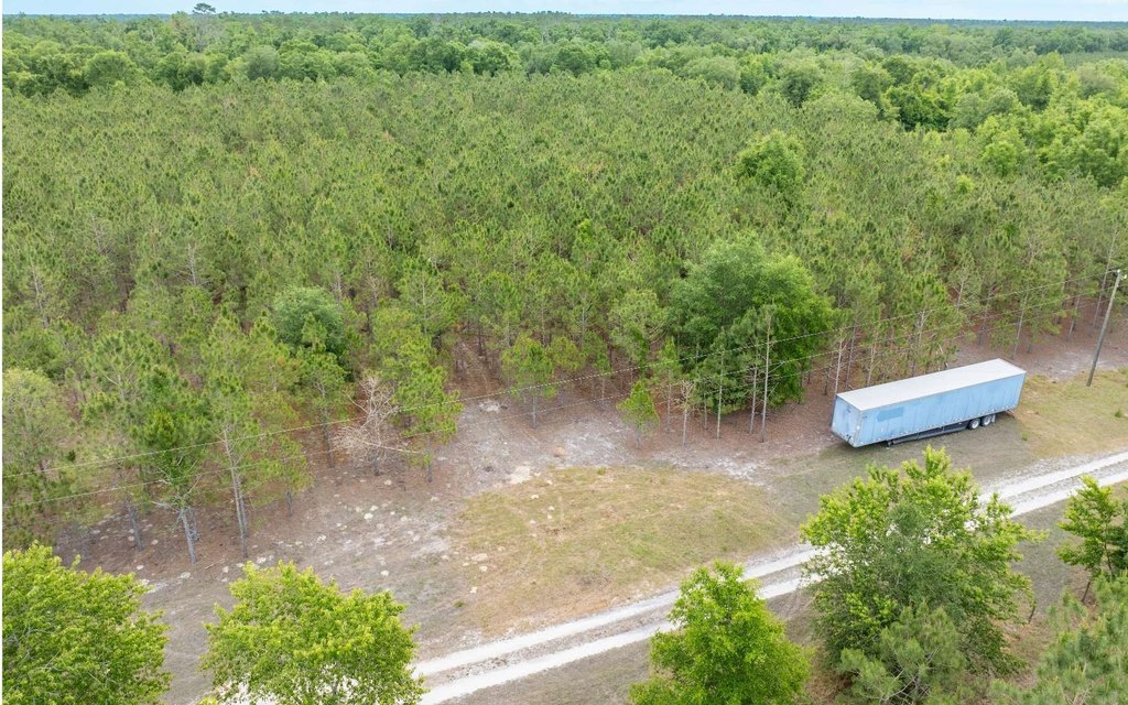 Picture 10