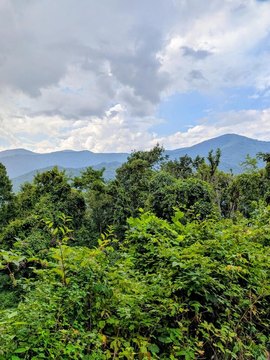 Land, Maggie Valley, NC