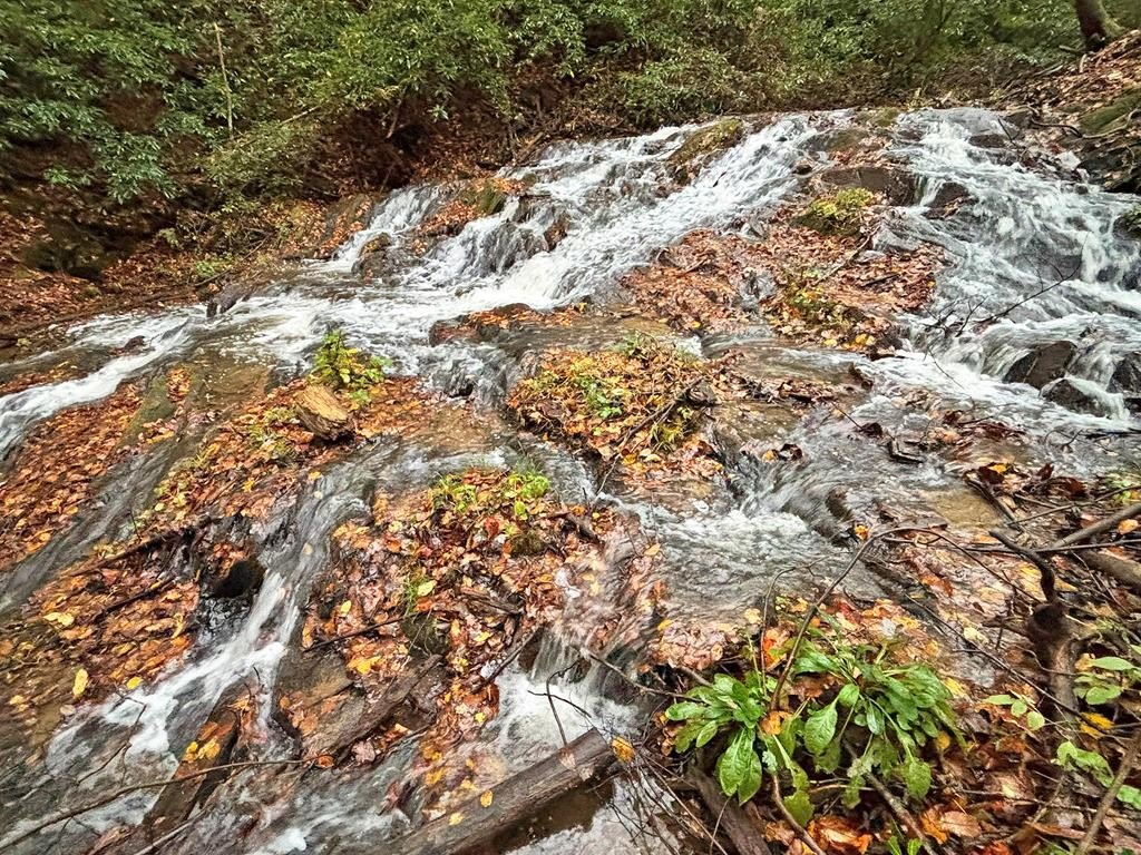 Blue Ridge Waterfall Property
