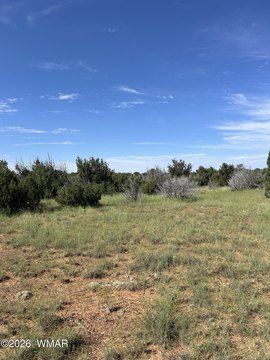 Land, Concho, AZ