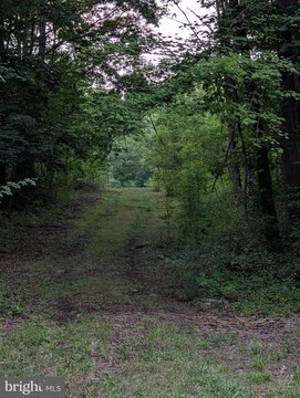 Land, EDGEWATER, MD
