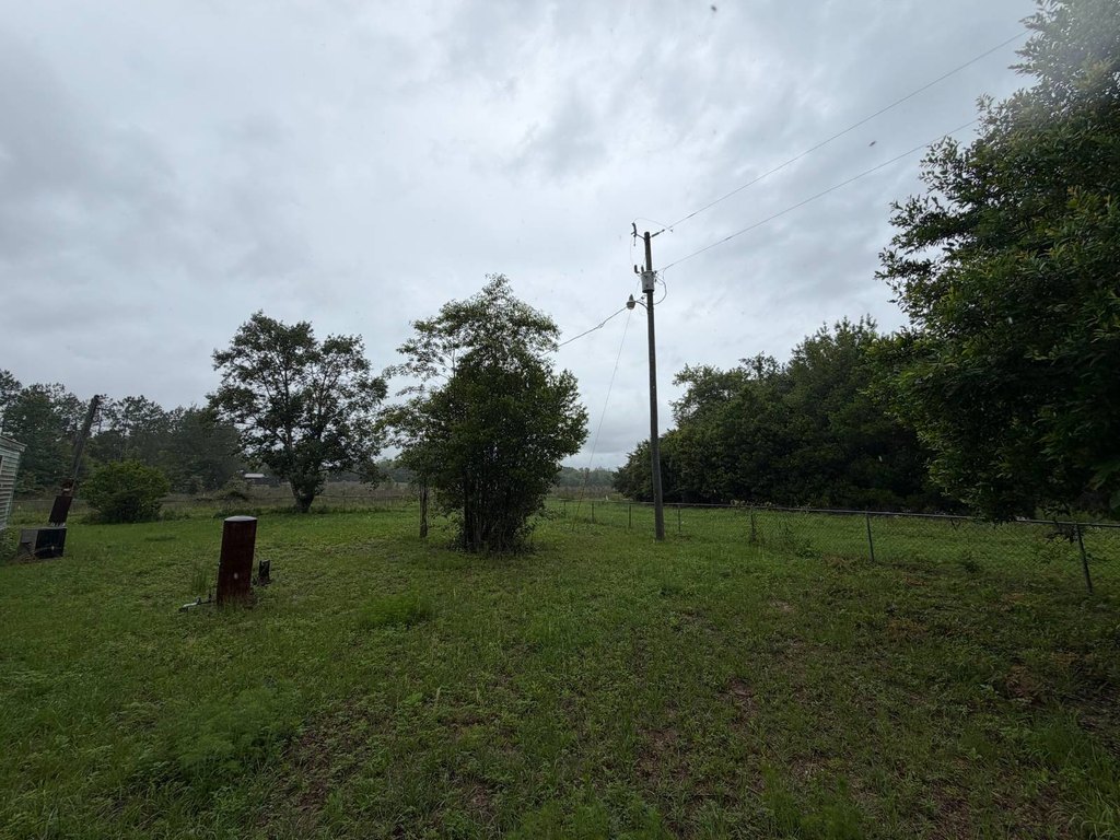 Picture 28