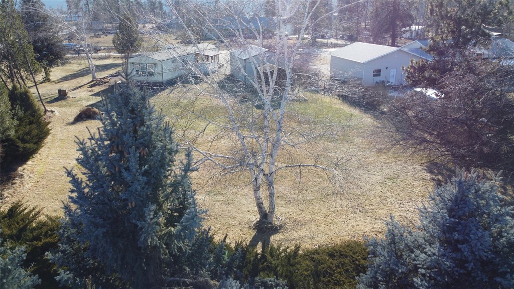 Picture 7