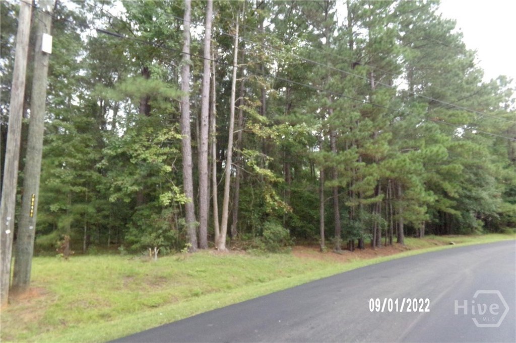 Picture 3