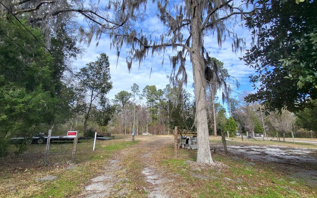 Picture 14