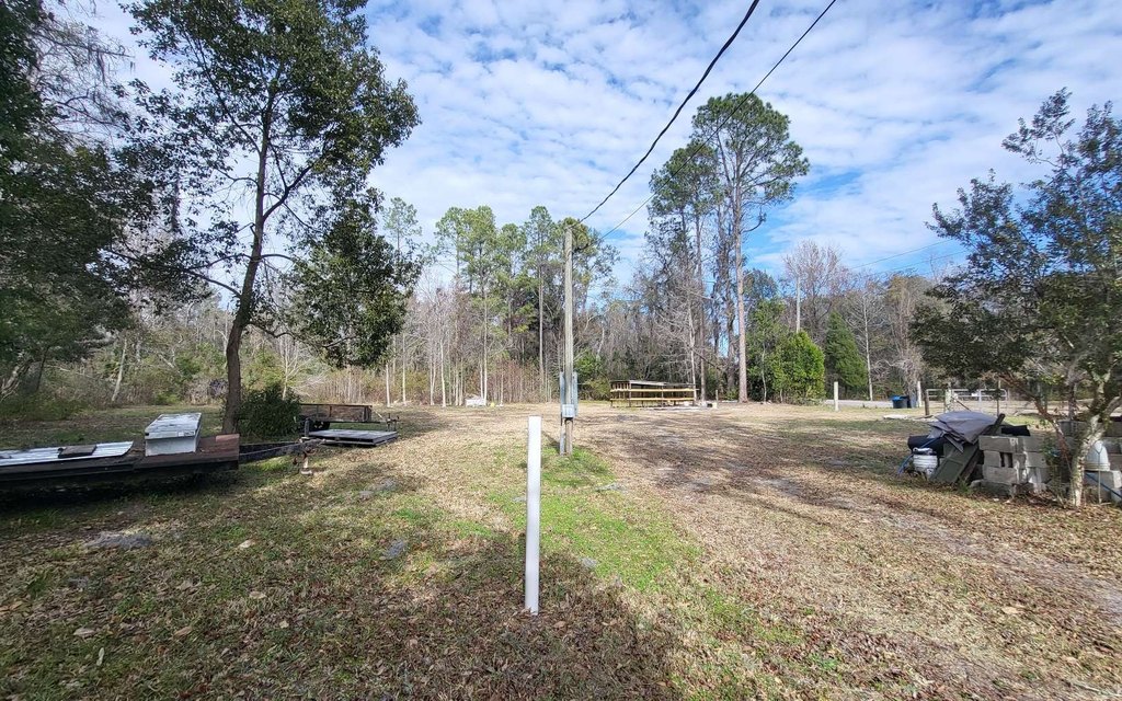 Picture 16