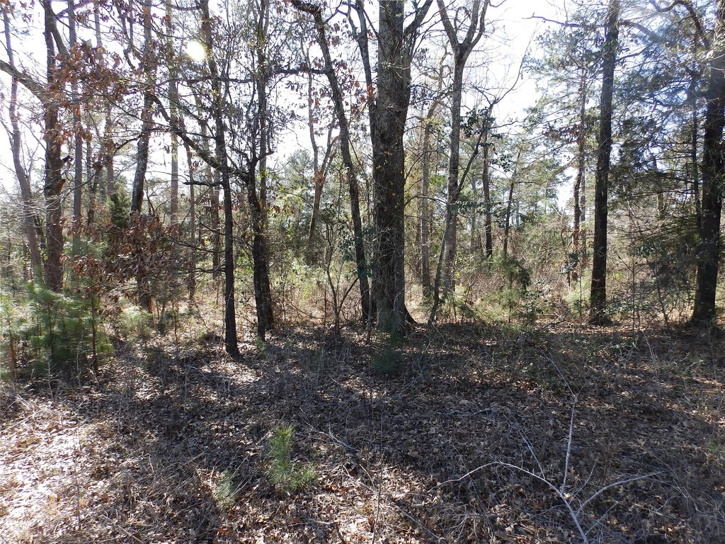 Picture 34