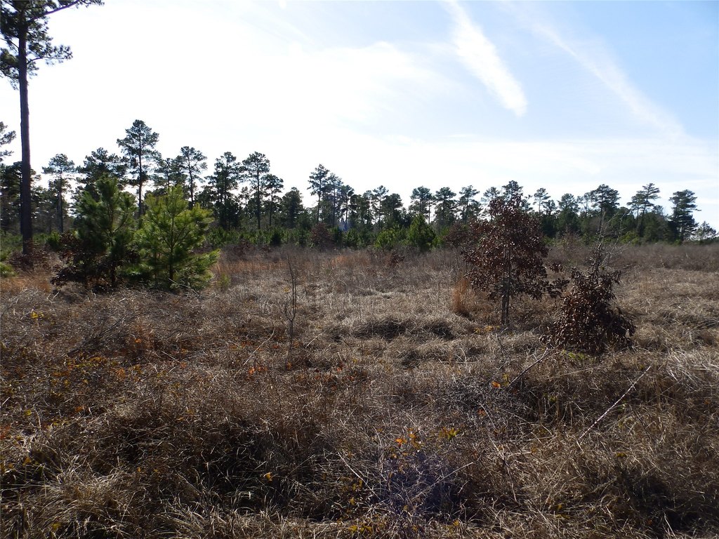 Picture 28
