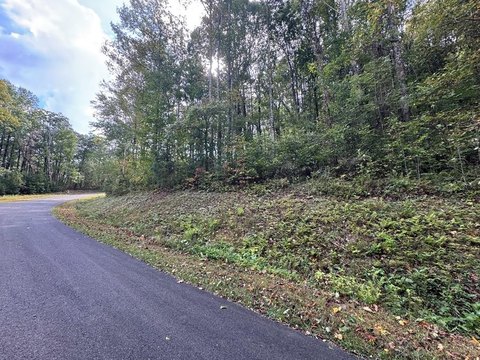 Ellijay Vacant Lot in Community