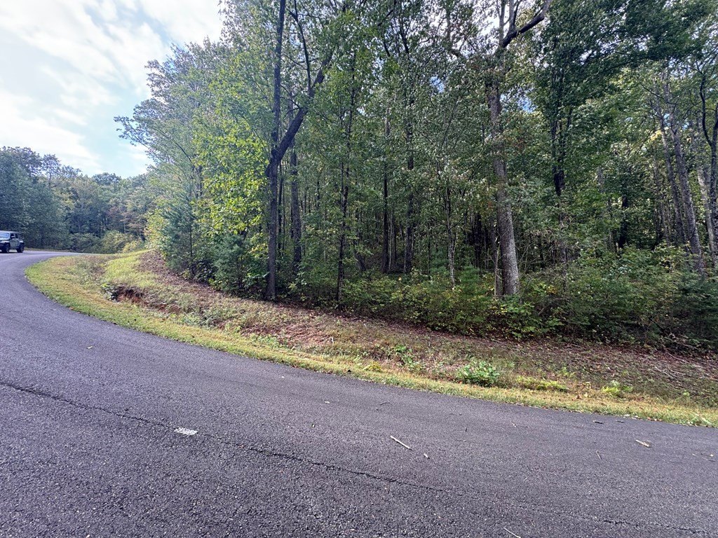 Picture 28