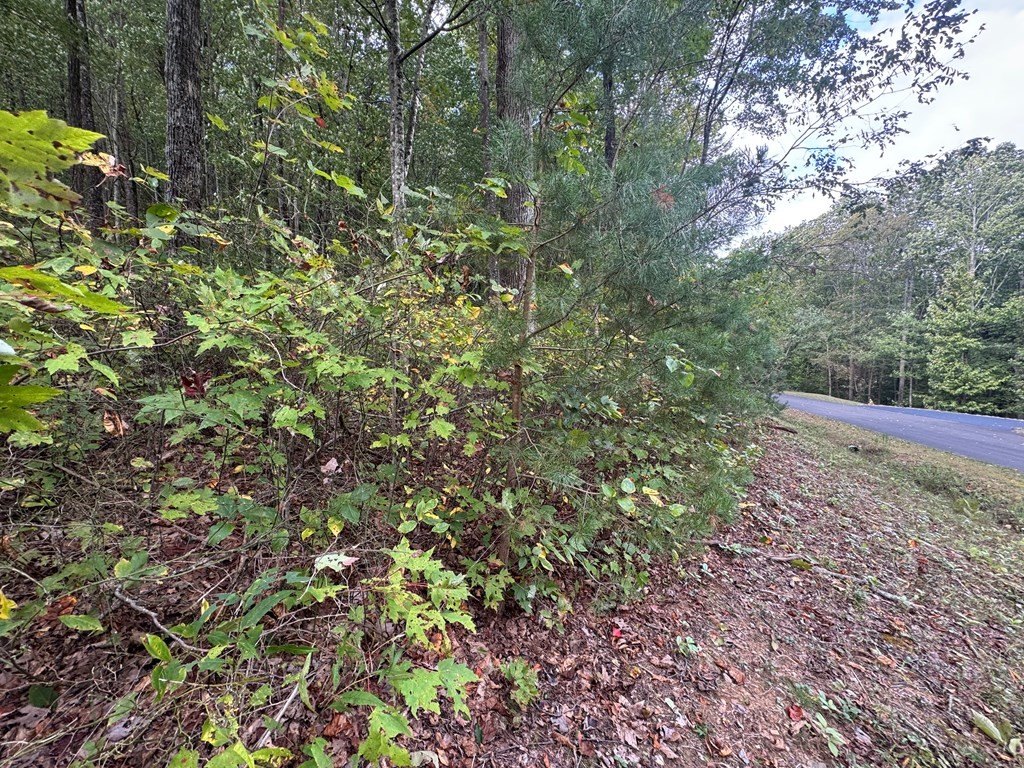 Picture 27