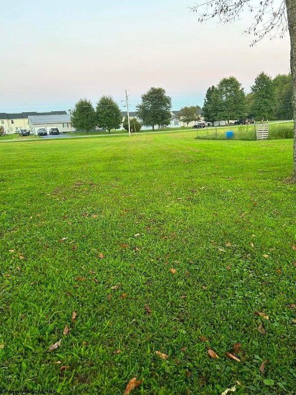 Picture 5