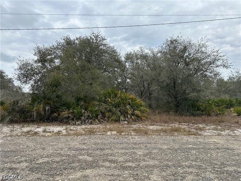 LAND - Lehigh Acres, FL