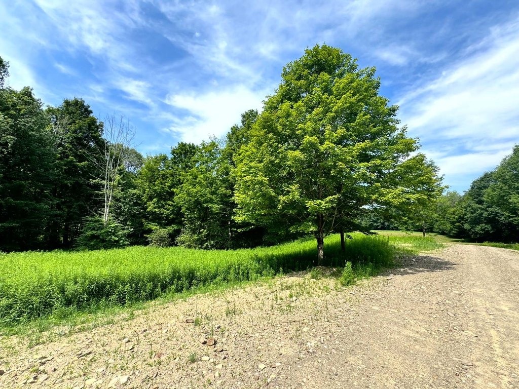 Picture 4