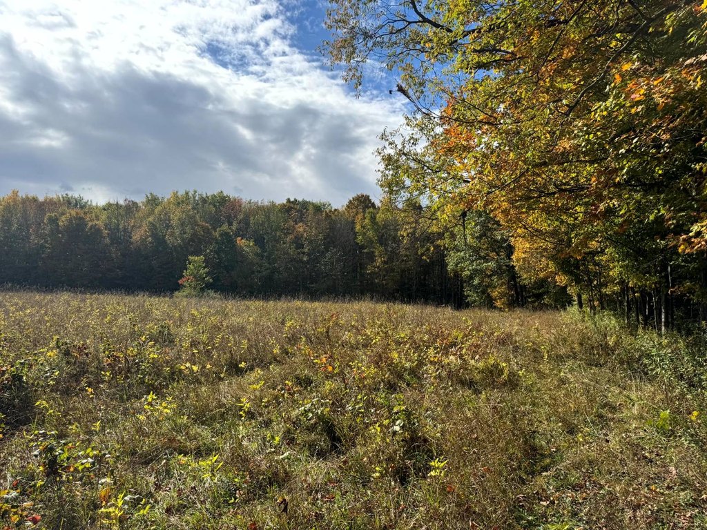 Picture 21
