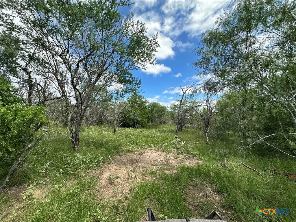 Picture 6