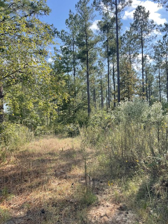 Picture 9