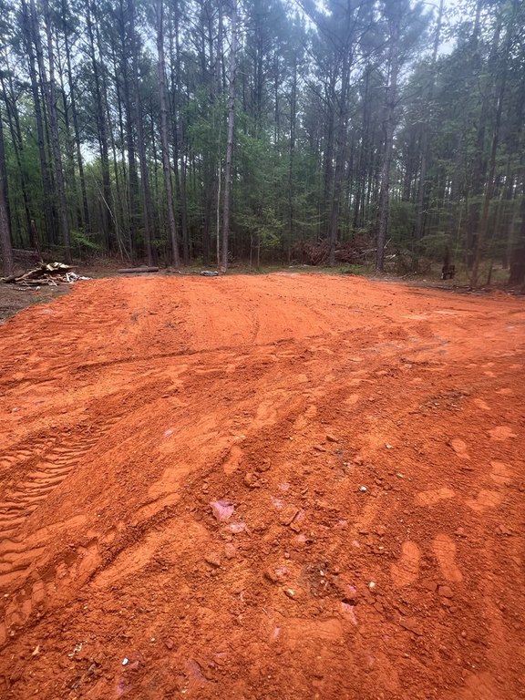 Picture 2