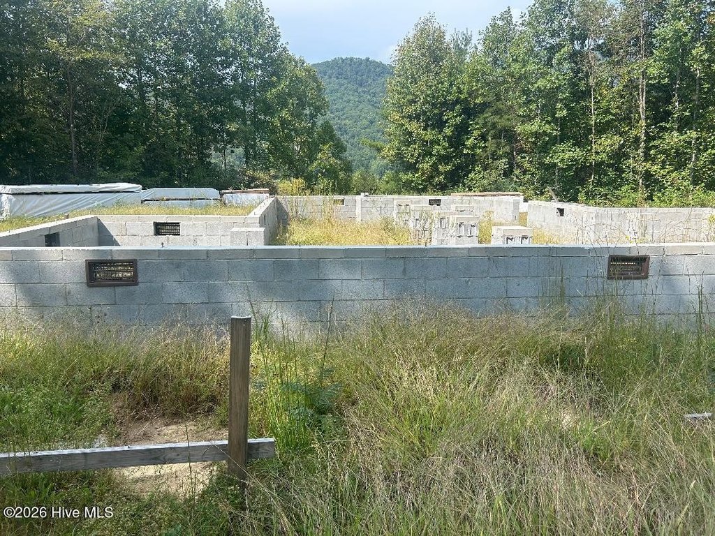 Picture 3