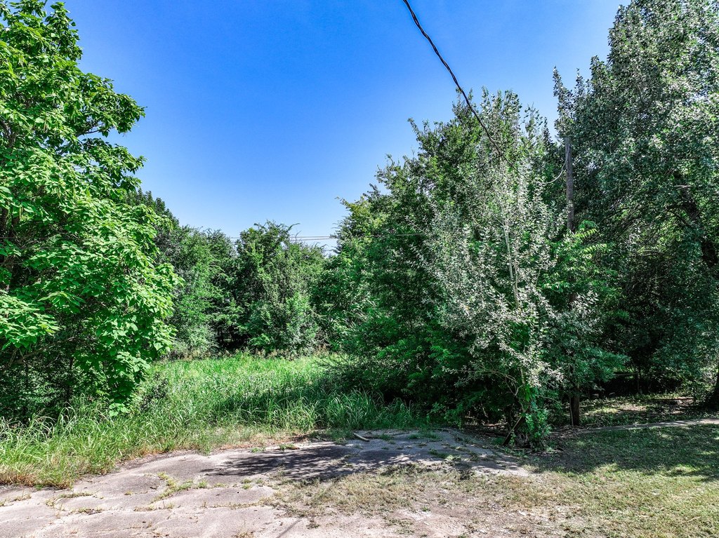 Picture 6