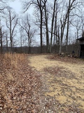Undeveloped Hunting Land Parcel