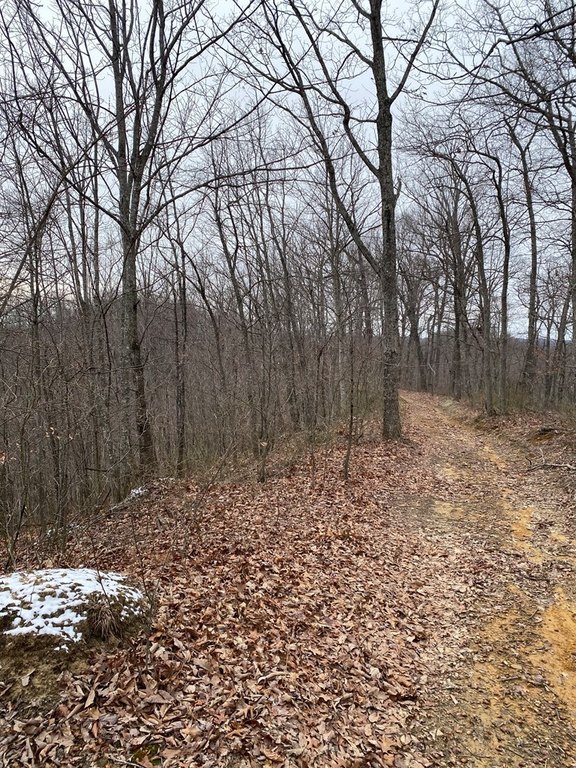 Picture 4
