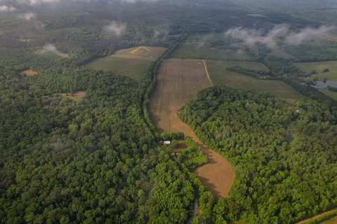 Claiborne County Hunting Land