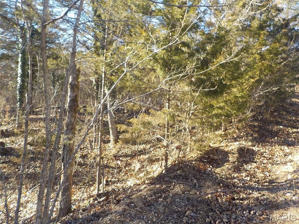 Picture 6