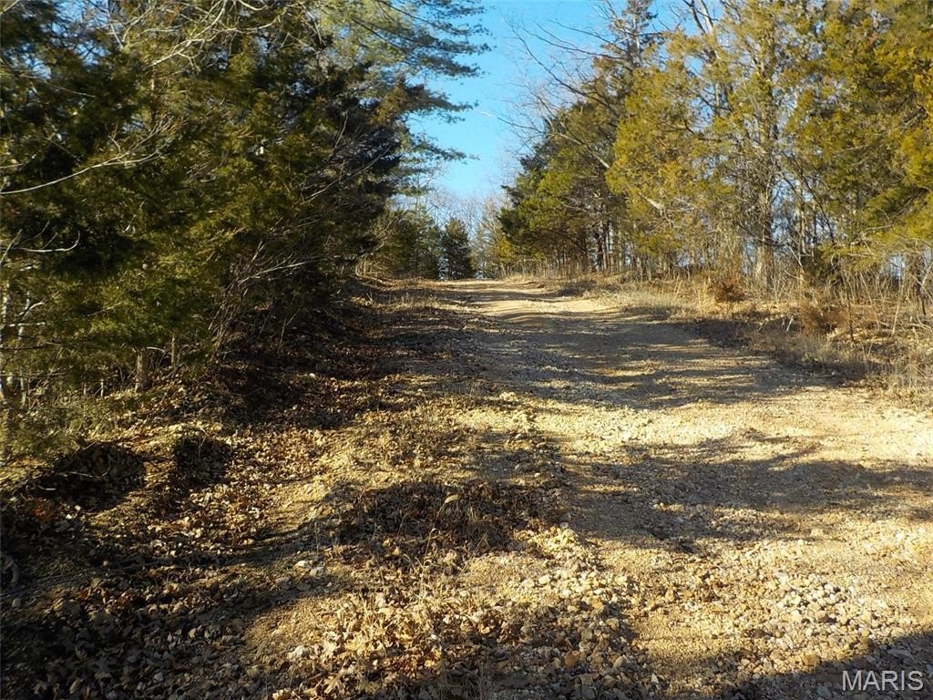 Picture 7