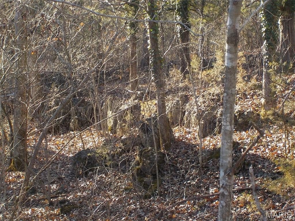 Picture 4