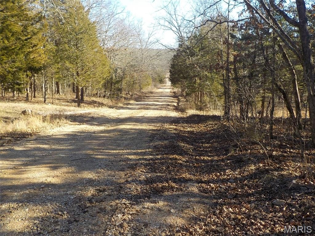 Picture 8
