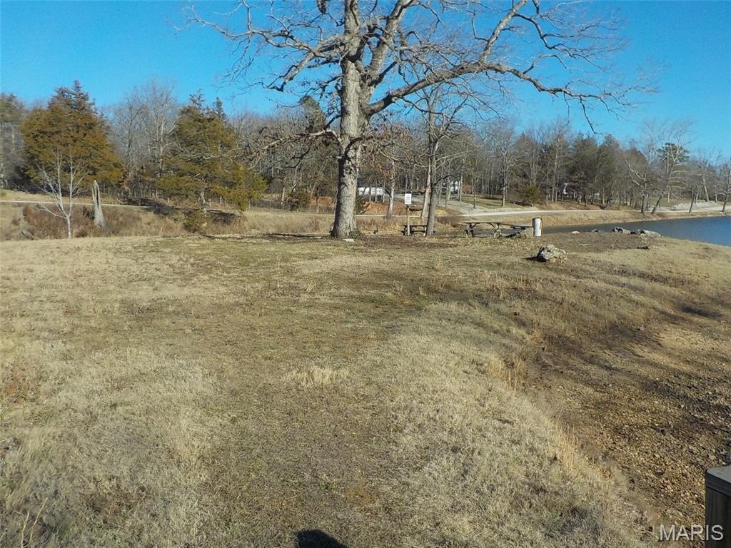 Picture 16