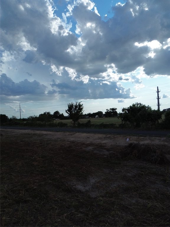 Picture 6