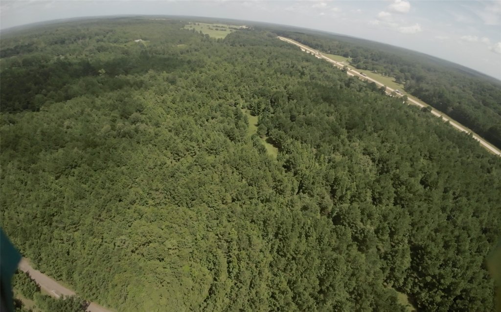 Picture 20
