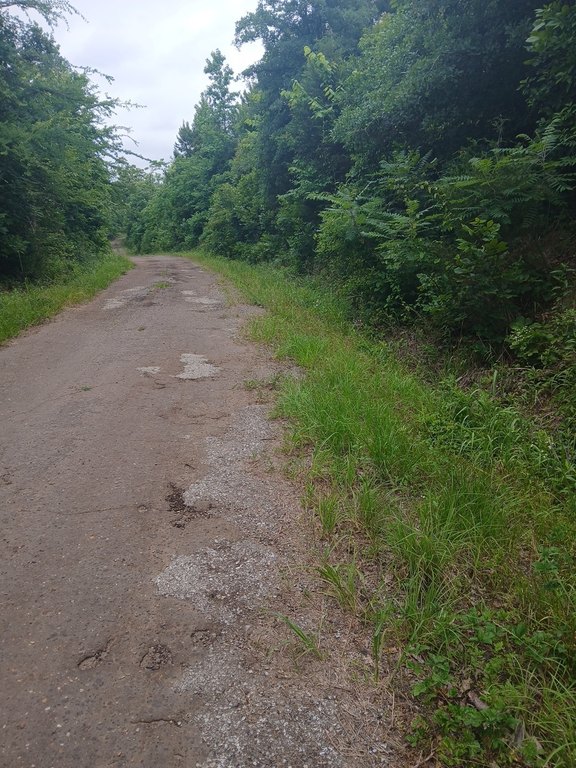 Picture 21
