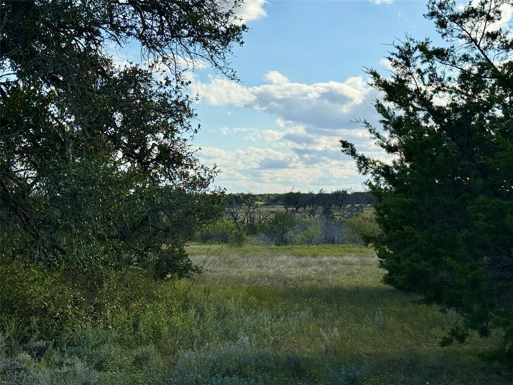 Picture 23