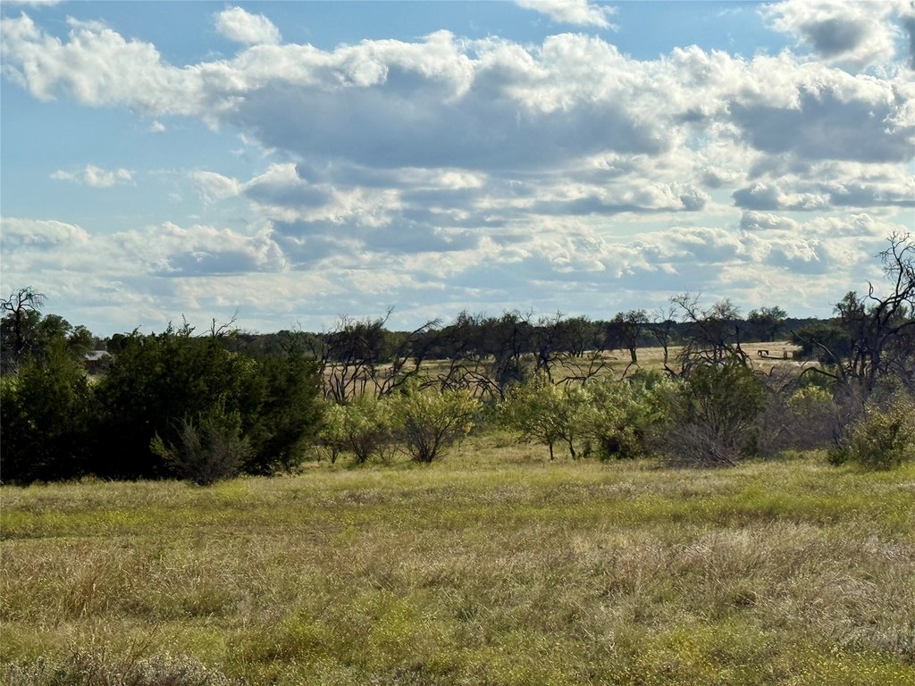 Picture 25