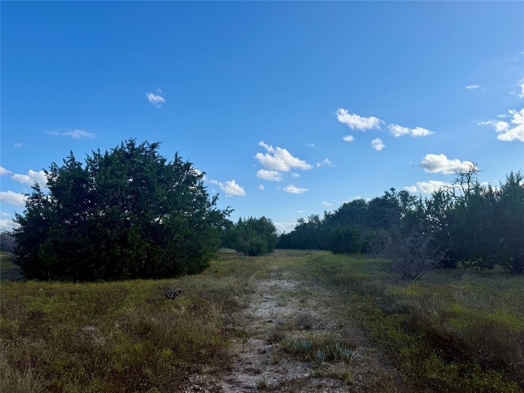 Picture 22