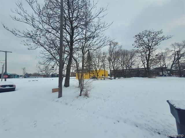 Picture 2