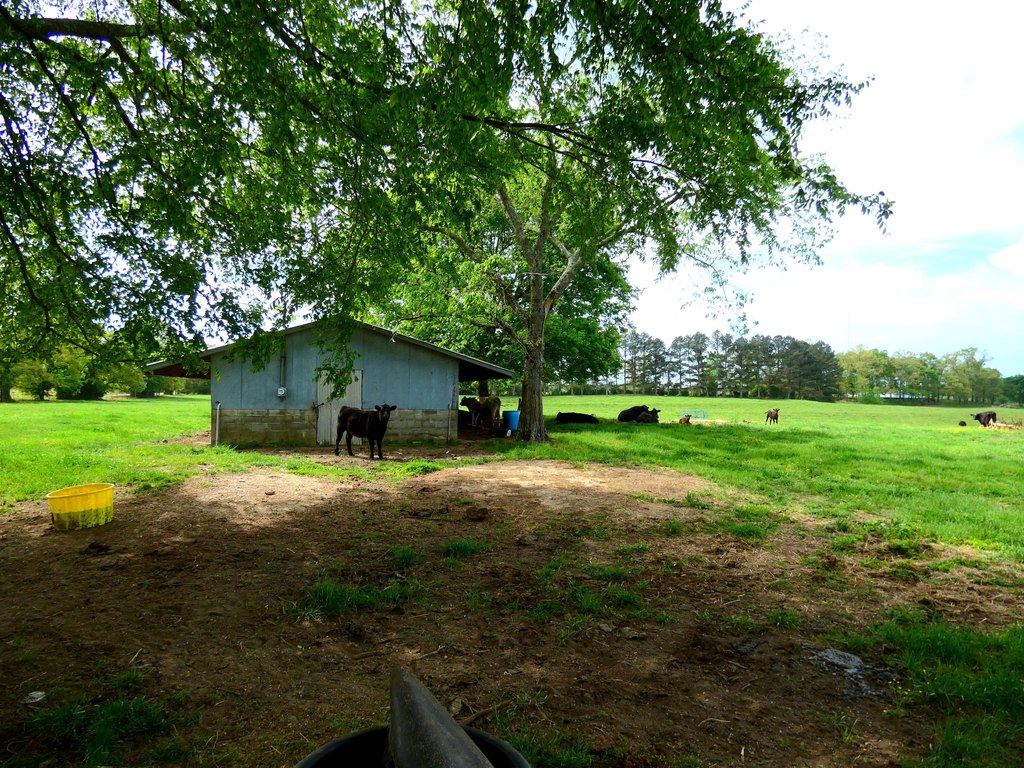 Picture 39