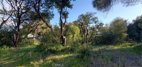 Clearlake Land for Low-Density Development