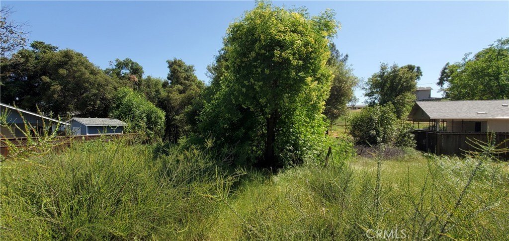 Picture 8