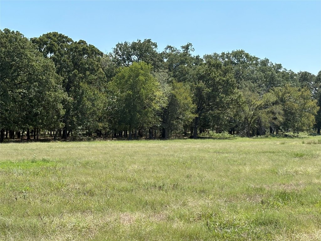 Picture 9