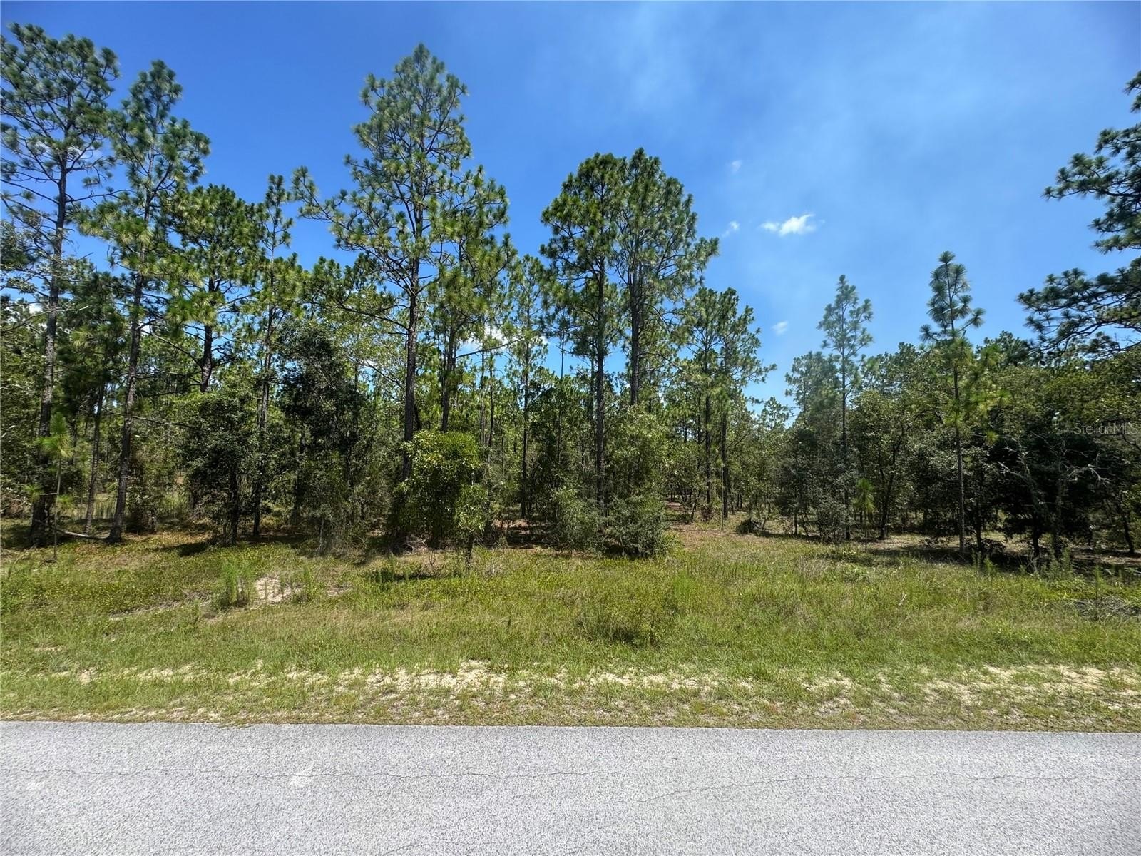 Dunnellon, FL Acre of Land